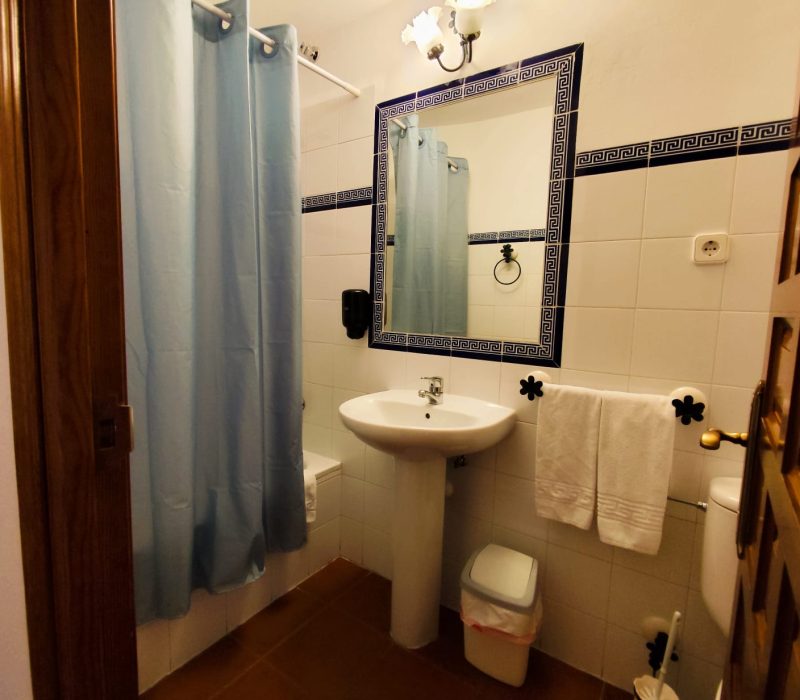 BAÑO. - Maria Moreno (1)
